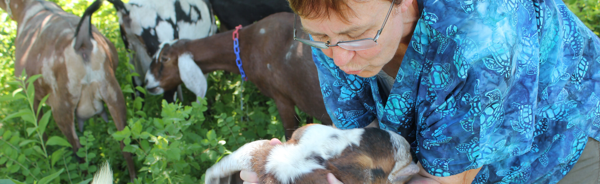 Holy Goat Creamery owner giving affection to a young goat